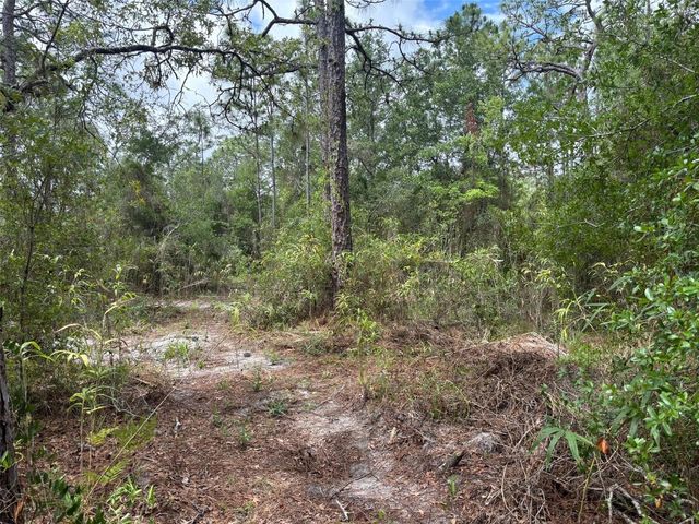 18379 THOMAS BOULEVARD, Hudson, FL 34667
