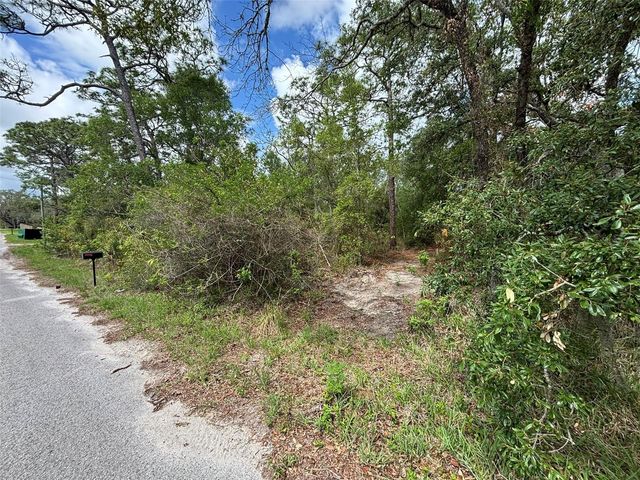 18379 THOMAS BOULEVARD, Hudson, FL 34667