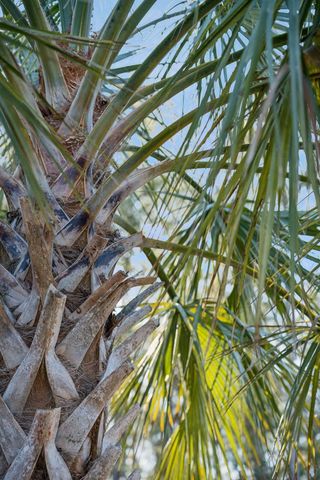 1348 Wild Goose Trail, Summerville, SC 29483