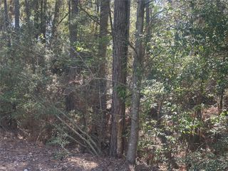Lot 67/68 Wildwood Harbor, Onalaska, TX 77360