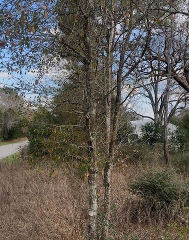 46833 Old Houston Highway, Pine Island, TX 77445