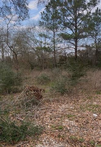 46833 Old Houston Highway, Pine Island, TX 77445