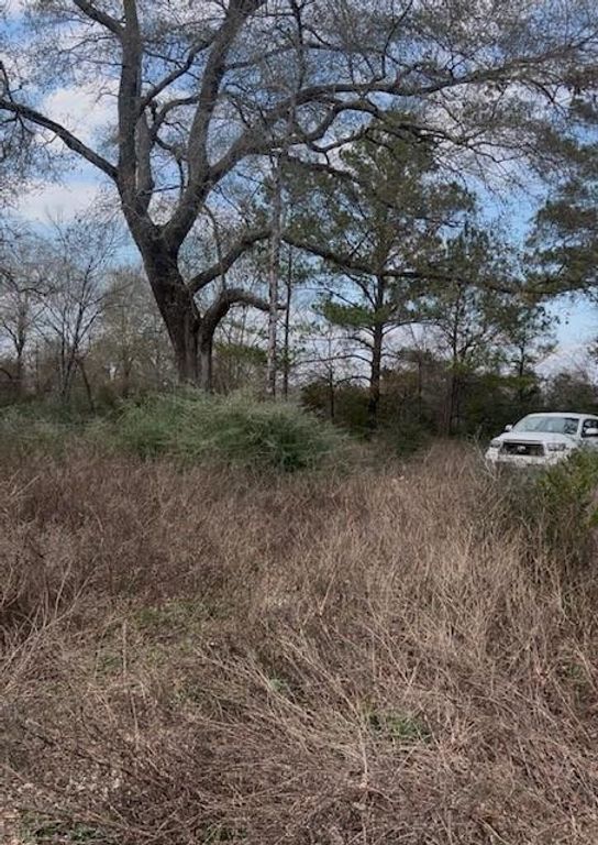 46833 Old Houston Highway, Pine Island, TX 77445