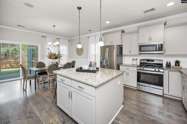 243 Sallie Gordon Lane, Elgin, SC 29045