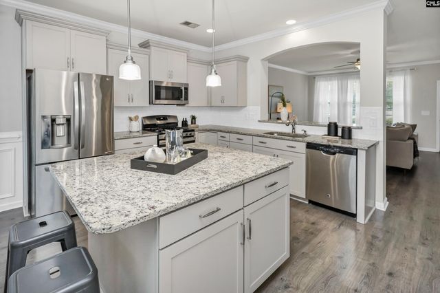 243 Sallie Gordon Lane, Elgin, SC 29045