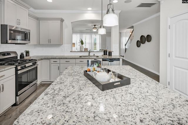 243 Sallie Gordon Lane, Elgin, SC 29045