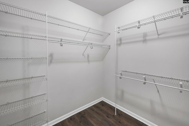 243 Sallie Gordon Lane, Elgin, SC 29045