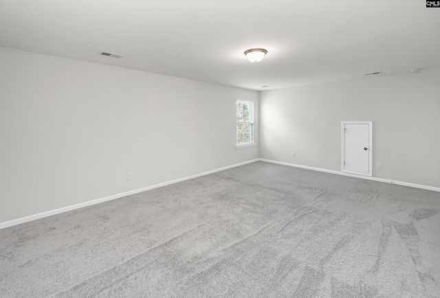 243 Sallie Gordon Lane, Elgin, SC 29045