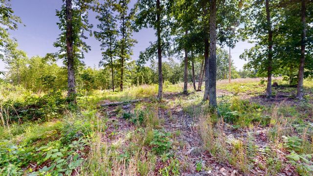 820 Overlook Trl, Stewart, TN 37175