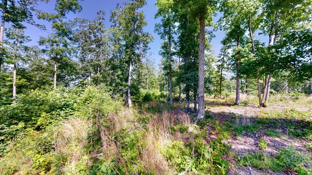 820 Overlook Trl, Stewart, TN 37175