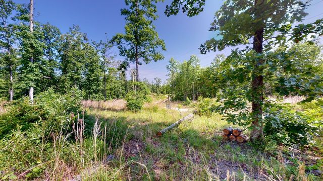 820 Overlook Trl, Stewart, TN 37175