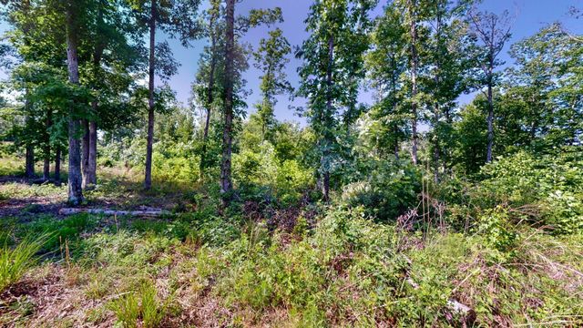 820 Overlook Trl, Stewart, TN 37175