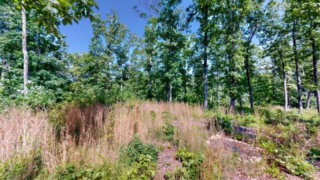 820 Overlook Trl, Stewart, TN 37175