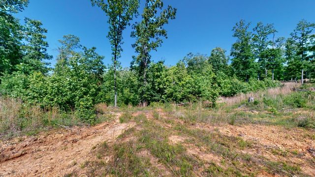 820 Overlook Trl, Stewart, TN 37175
