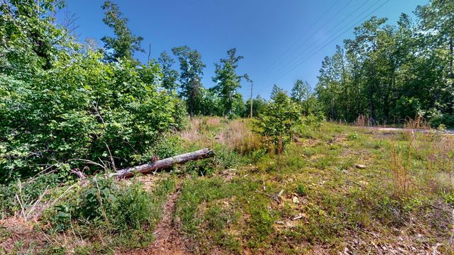 820 Overlook Trl, Stewart, TN 37175