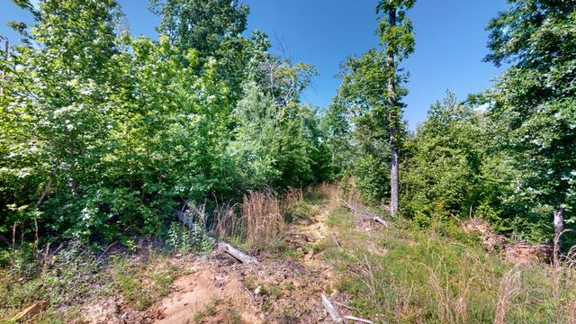 820 Overlook Trl, Stewart, TN 37175