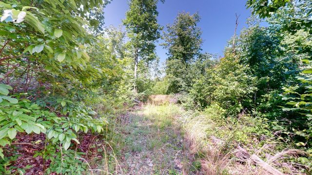 820 Overlook Trl, Stewart, TN 37175