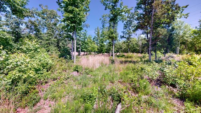 820 Overlook Trl, Stewart, TN 37175