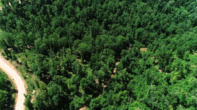 820 Overlook Trl, Stewart, TN 37175