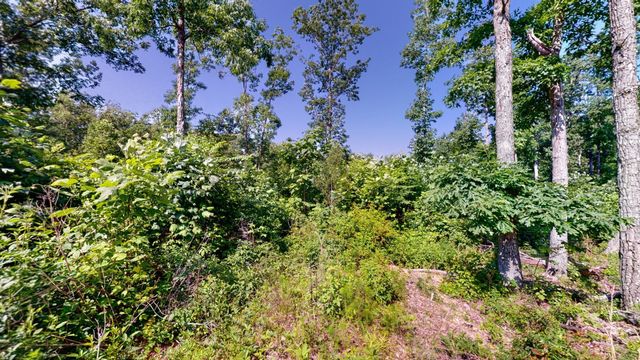 820 Overlook Trl, Stewart, TN 37175