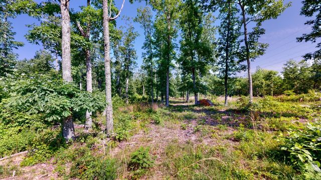 820 Overlook Trl, Stewart, TN 37175