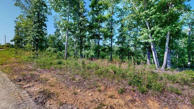 820 Overlook Trl, Stewart, TN 37175