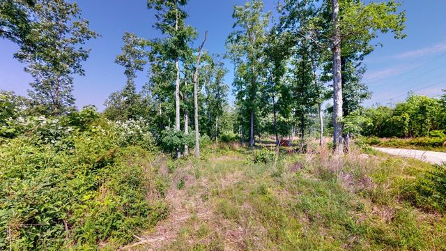 820 Overlook Trl, Stewart, TN 37175