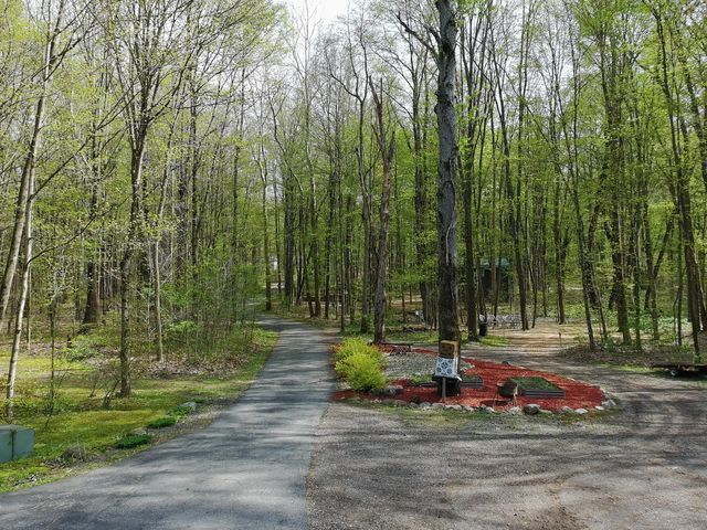 50969 CR 681, Lawrence Twp, MI 49064