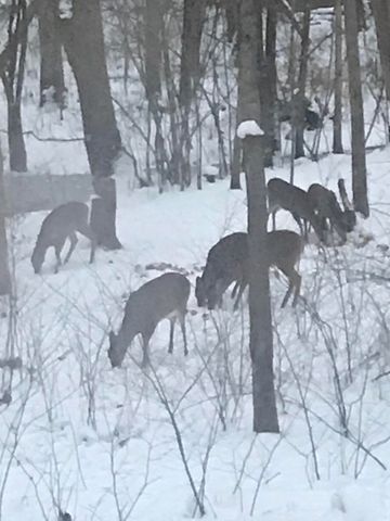 50969 CR 681, Lawrence Twp, MI 49064