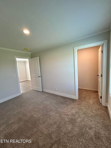 1191 Lookout Drive, Rutledge, TN 37861