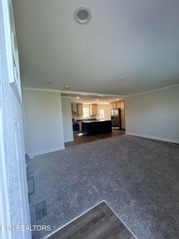 1191 Lookout Drive, Rutledge, TN 37861