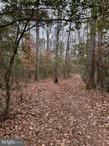 4 SEAGRASS CT, King George, VA 22485