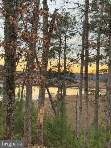 4 SEAGRASS CT, King George, VA 22485