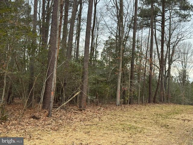 4 SEAGRASS CT, King George, VA 22485