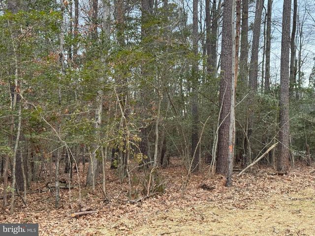 4 SEAGRASS CT, King George, VA 22485