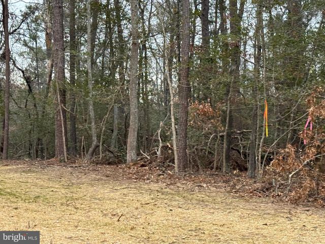 4 SEAGRASS CT, King George, VA 22485