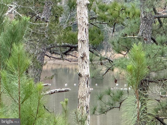 4 SEAGRASS CT, King George, VA 22485