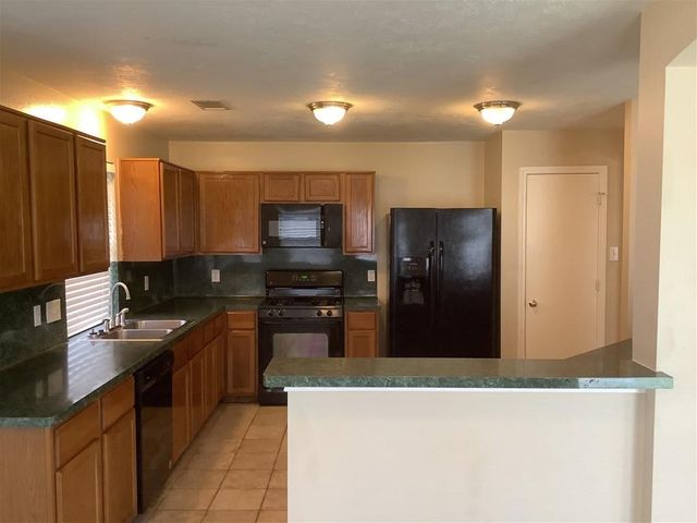 1423 Hunter Green Lane, Fresno, TX 77545