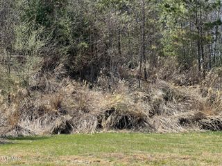 Tbd Charles Street, Clintwood, VA 24228