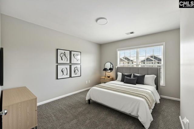 110 Whitton Court, Lexington, SC 29073