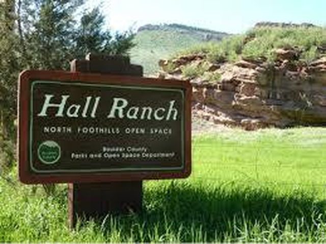 352 McConnell Dr, Lyons, CO 80540