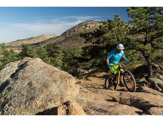 352 McConnell Dr, Lyons, CO 80540