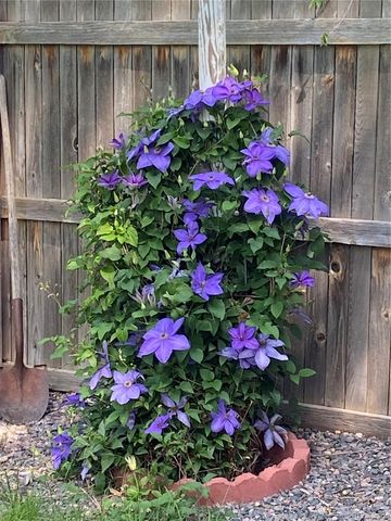 19121 E Hampden Drive, Aurora, CO 80013