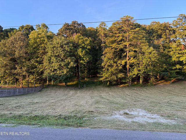 Hillvale rd., Andersonville, TN 37705
