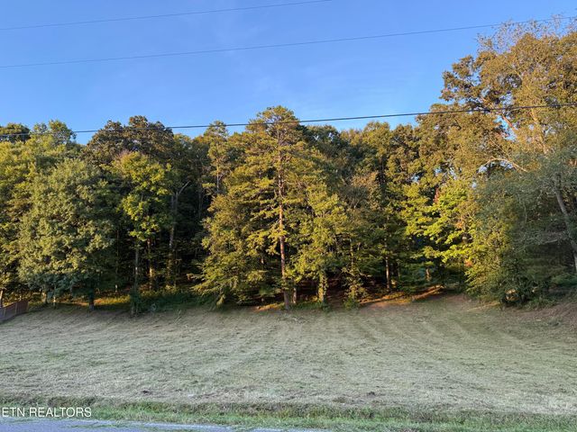 Hillvale rd., Andersonville, TN 37705