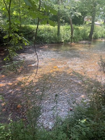 lot 6 Creekfront Lane, Hayesville, NC 28904