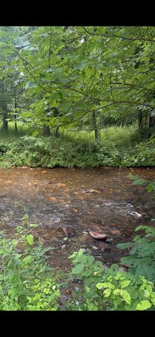 lot 6 Creekfront Lane, Hayesville, NC 28904
