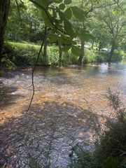 lot 6 Creekfront Lane, Hayesville, NC 28904