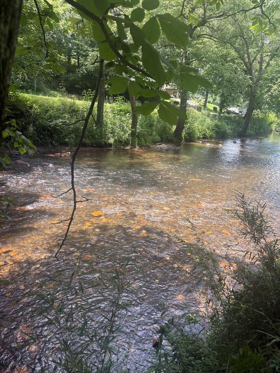 lot 6 Creekfront Lane, Hayesville, NC 28904