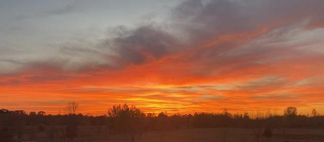 1067 Jessie Street, Saint Paul, MN 55130